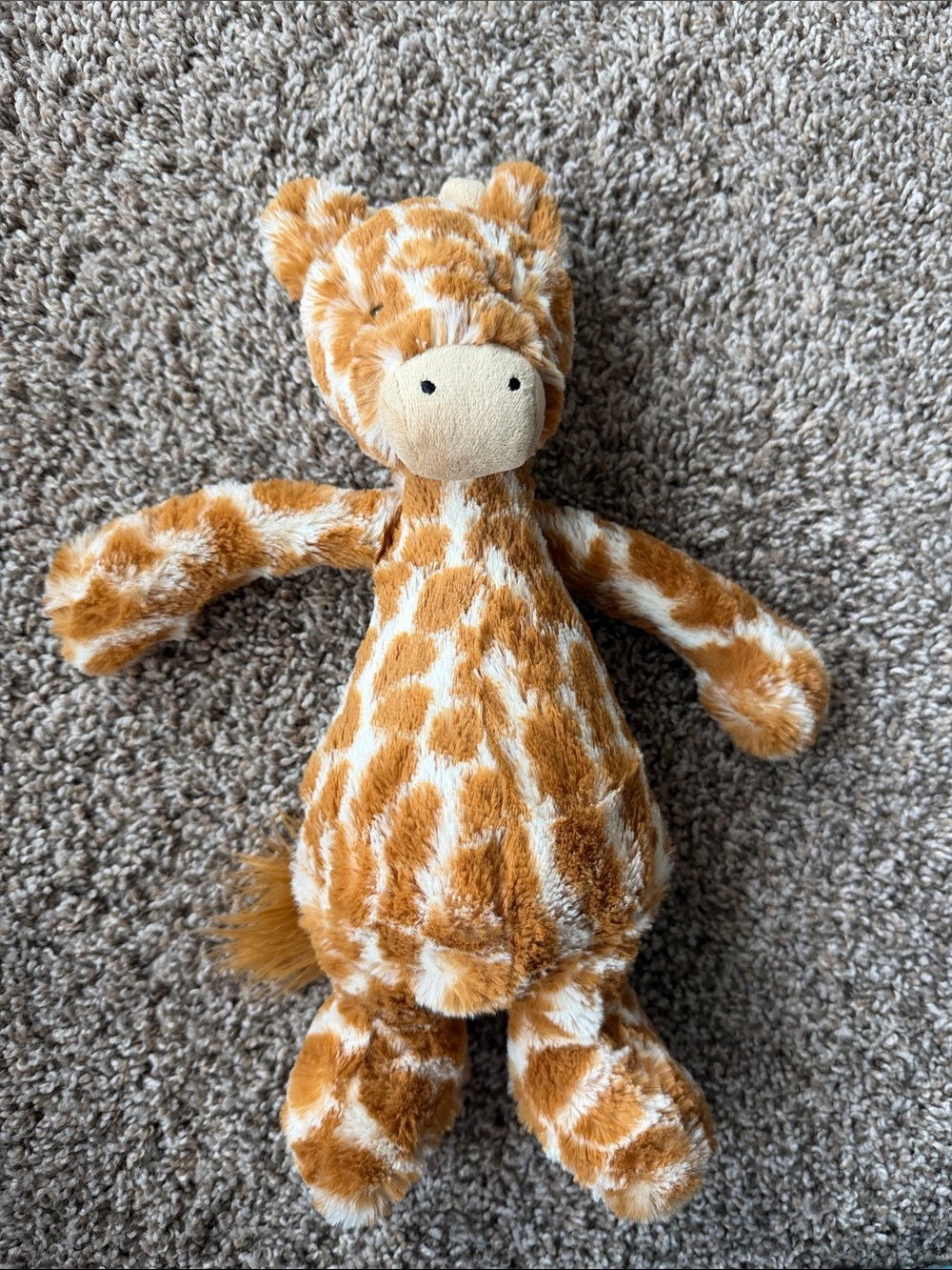 Bashful giraffe Jellycat